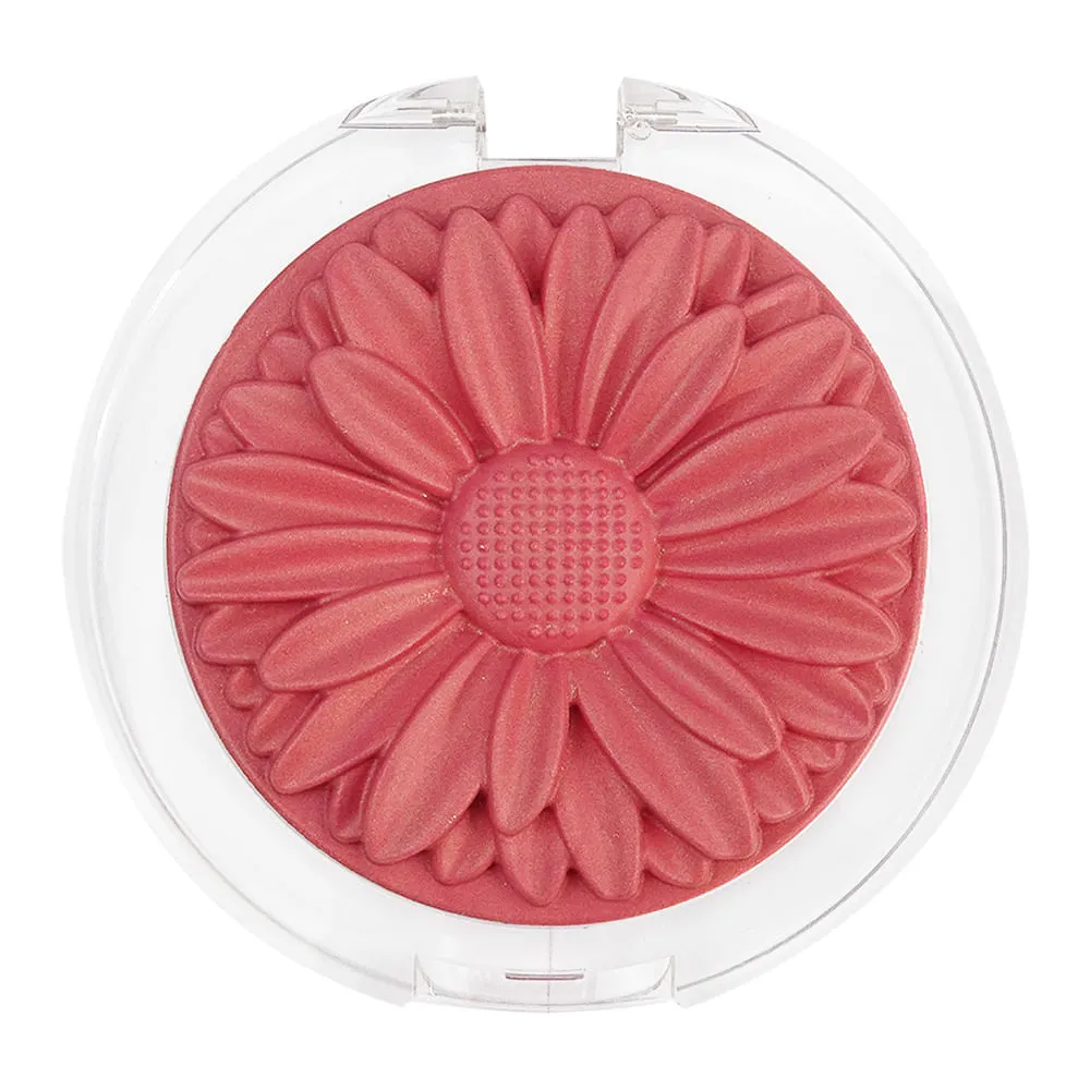 Blush Margaripetala | Maria Margarida