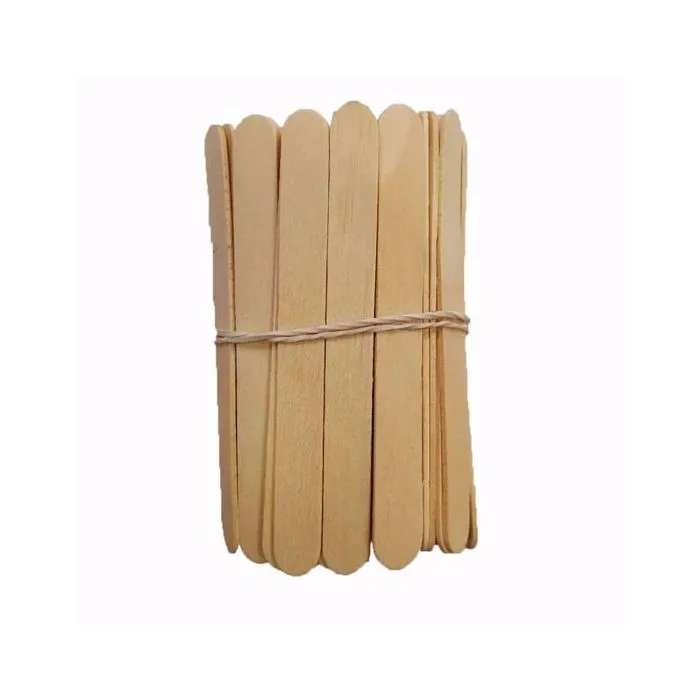 Espatula Gaspar Descartavel Com 100 Un