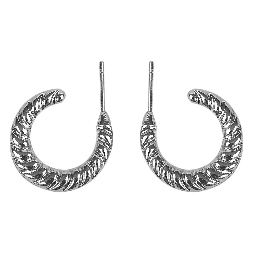 2501-1 | Brinco Argola | Importado