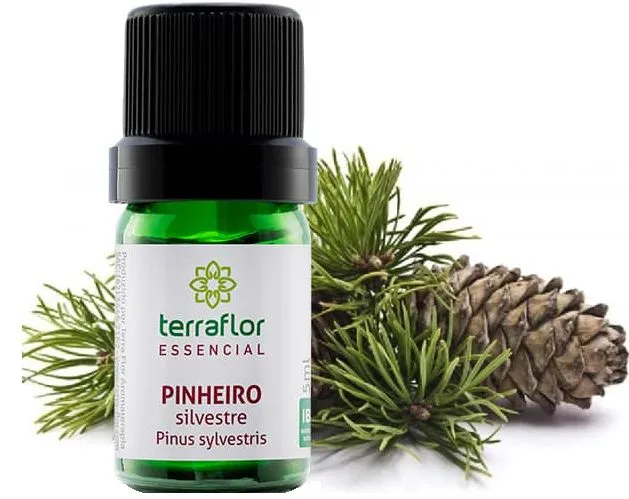 Terra Flor Óleo Essencial de Pinheiro Silvestre 5ml