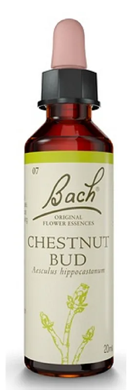 Florais de Bach Chestnut Bud Original 20ml