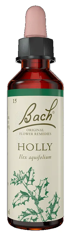 Florais de Bach Holly Original 20ml