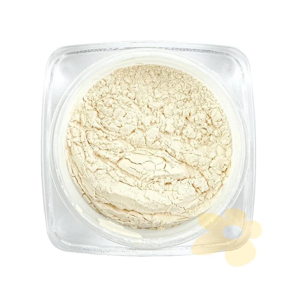 Pó Solto Full Cover | LP Beauty