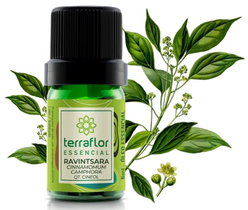 Terra Flor Óleo Essencial de Ravintsara 5ml